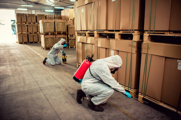 Best Local Pest Control Services  in Morrisonvle, IL