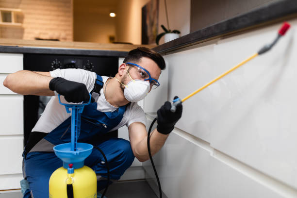 Best Commercial Pest Control Services  in Morrisonvle, IL