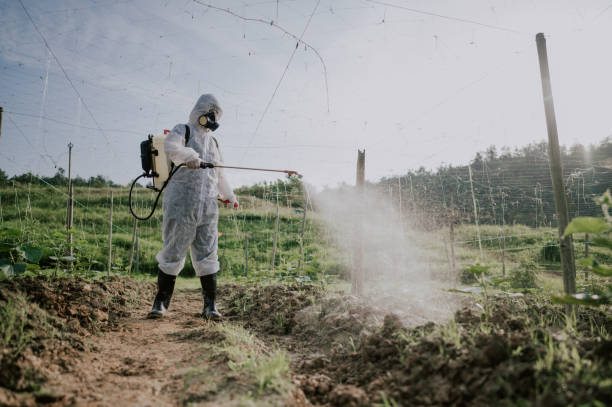 Best Commercial Pest Control Services  in Morrisonvle, IL