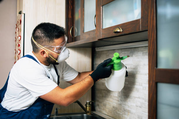 Pest Prevention Services in Morrisonville, IL
