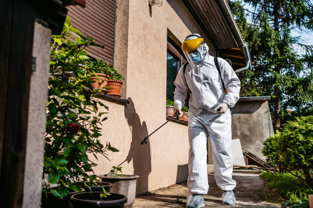 Trusted Morrisonville, IL Pest Control Experts