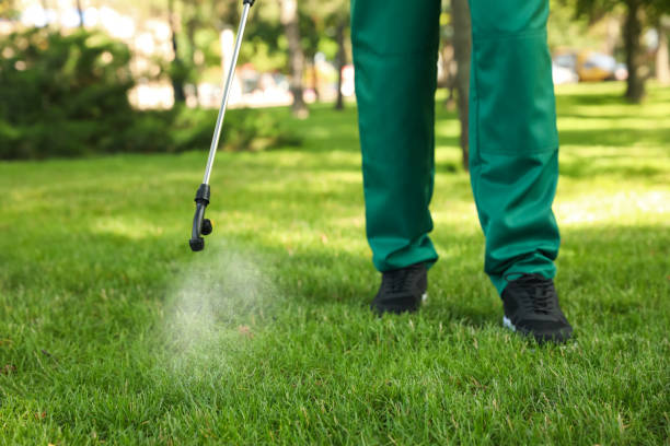 Best Cockroach Control Services  in Morrisonvle, IL