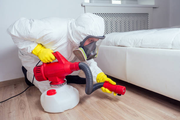 Best Best Pest Control Near Me  in Morrisonvle, IL