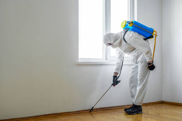 Professional Pest Control in Morrisonville, IL