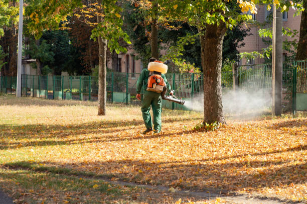 Best Pest Prevention Services  in Morrisonvle, IL