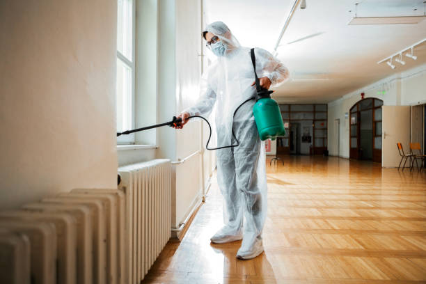Best Residential Pest Control  in Morrisonvle, IL